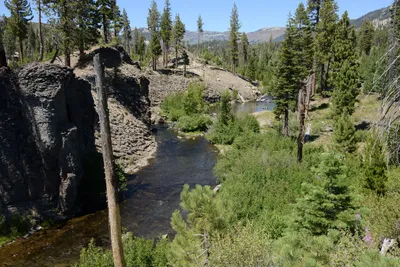 DSC_3765 (Large).JPG